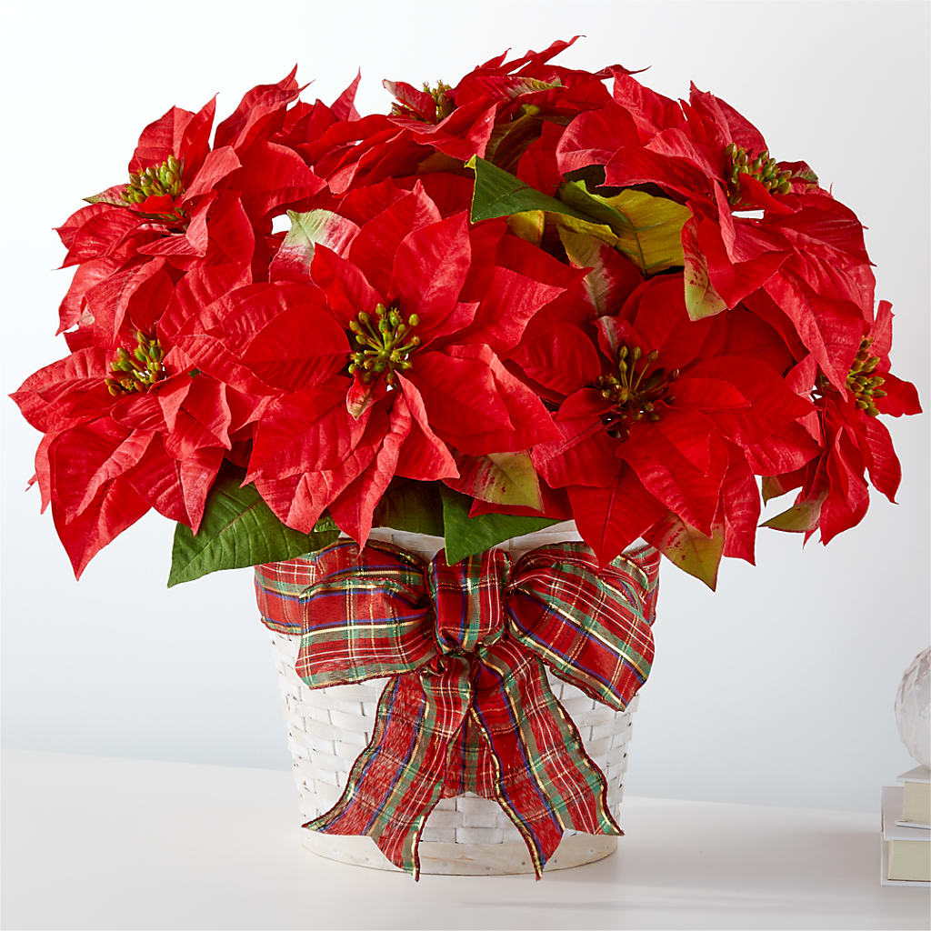 Happiest Holidays Poinsettia – Petals And Blooms Flowers, Fort Leonard Wood MO