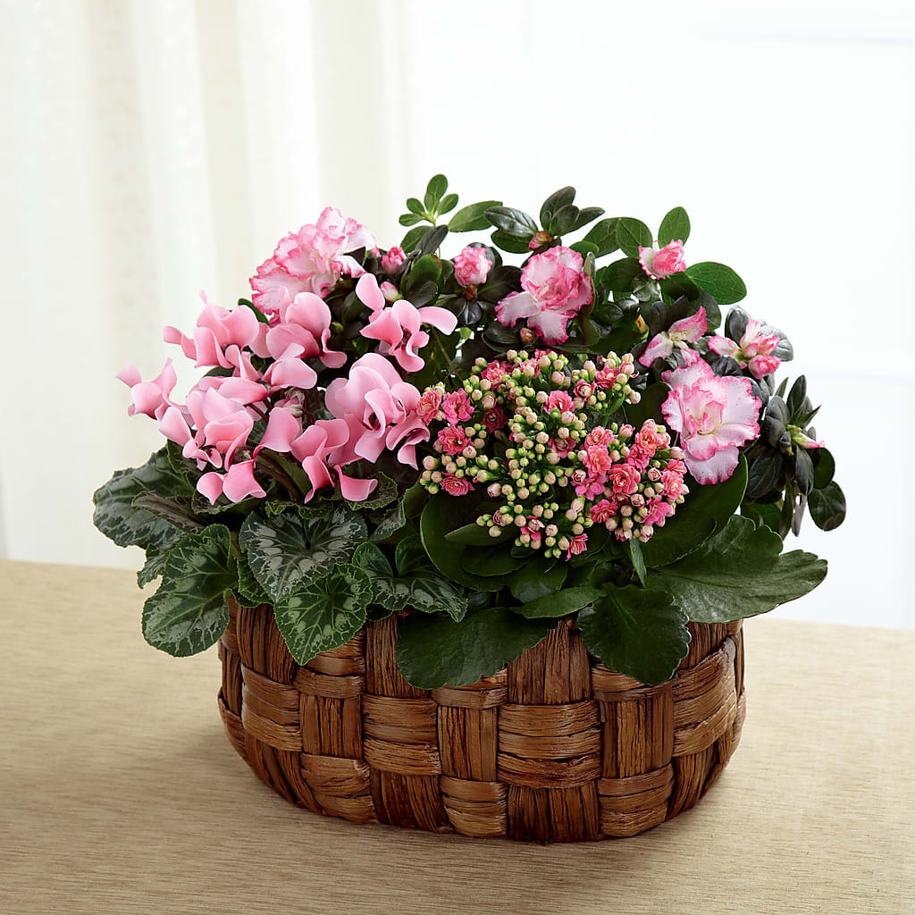 Pink Assortment – Petals And Blooms Flowers, Fort Leonard Wood MO