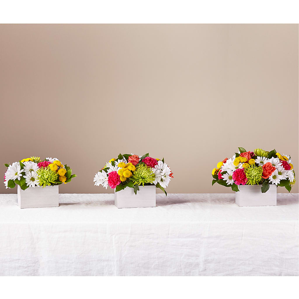 Sorbet Bouquet – Petals And Blooms Flowers, Fort Leonard Wood MO