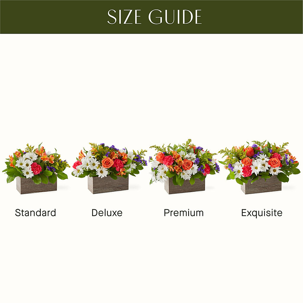 Oopsie Daisy Box Bouquet – Petals And Blooms Flowers, Fort Leonard Wood MO