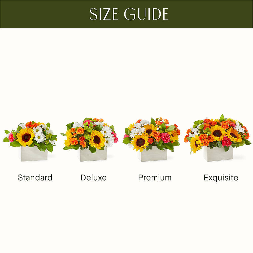 Sun-drenched Blooms Box Bouquet – Petals And Blooms Flowers, Fort Leonard Wood MO