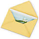 Greeting Card – Petals And Blooms Flowers, Fort Leonard Wood MO