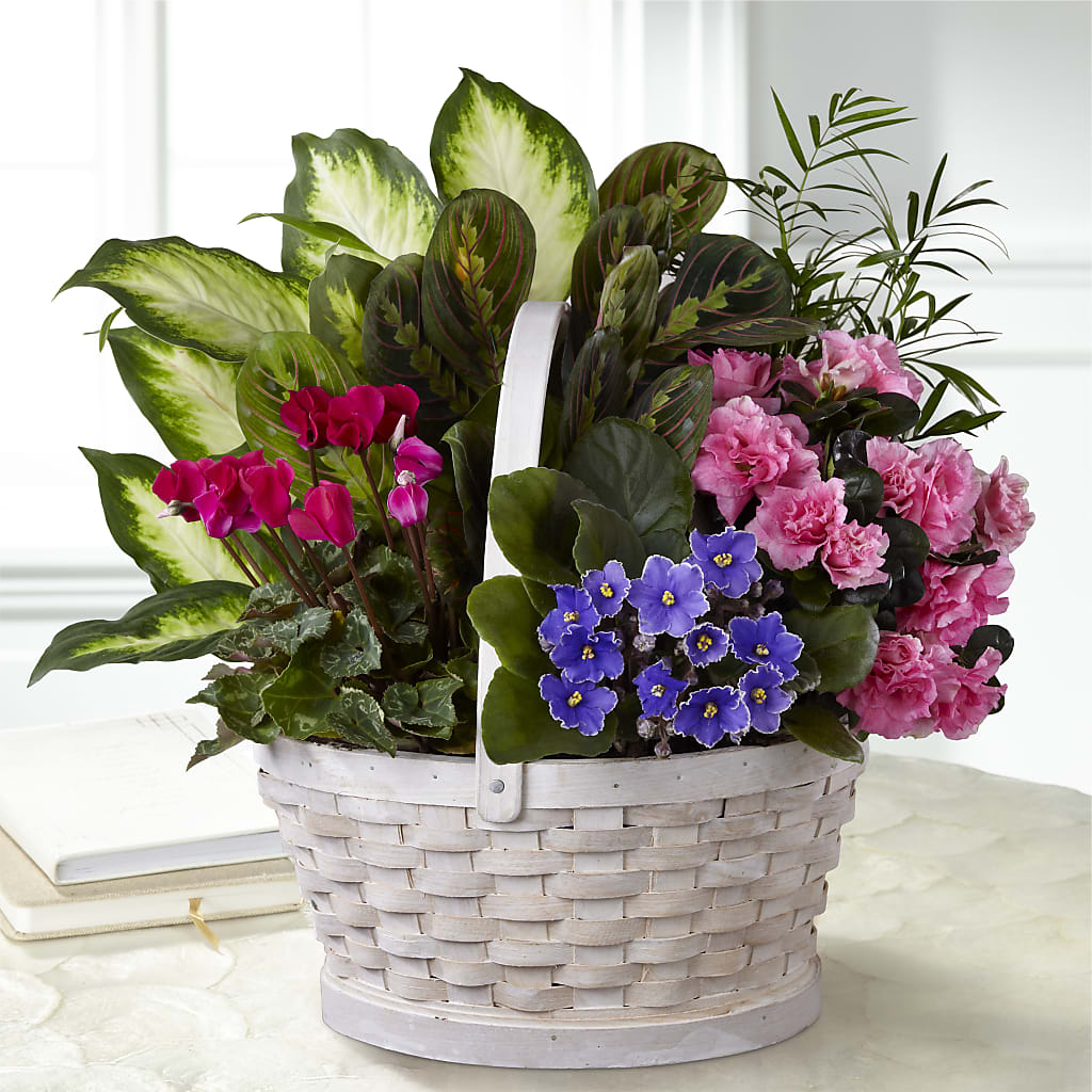 Peaceful Garden Planter – Petals And Blooms Flowers, Fort Leonard Wood MO