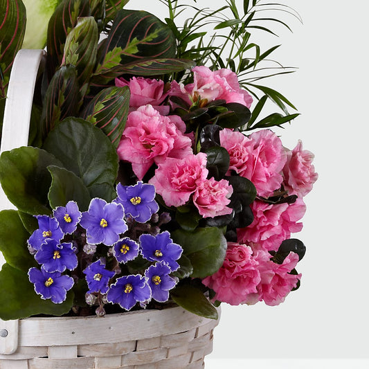 Peaceful Garden Planter – Petals And Blooms Flowers, Fort Leonard Wood MO