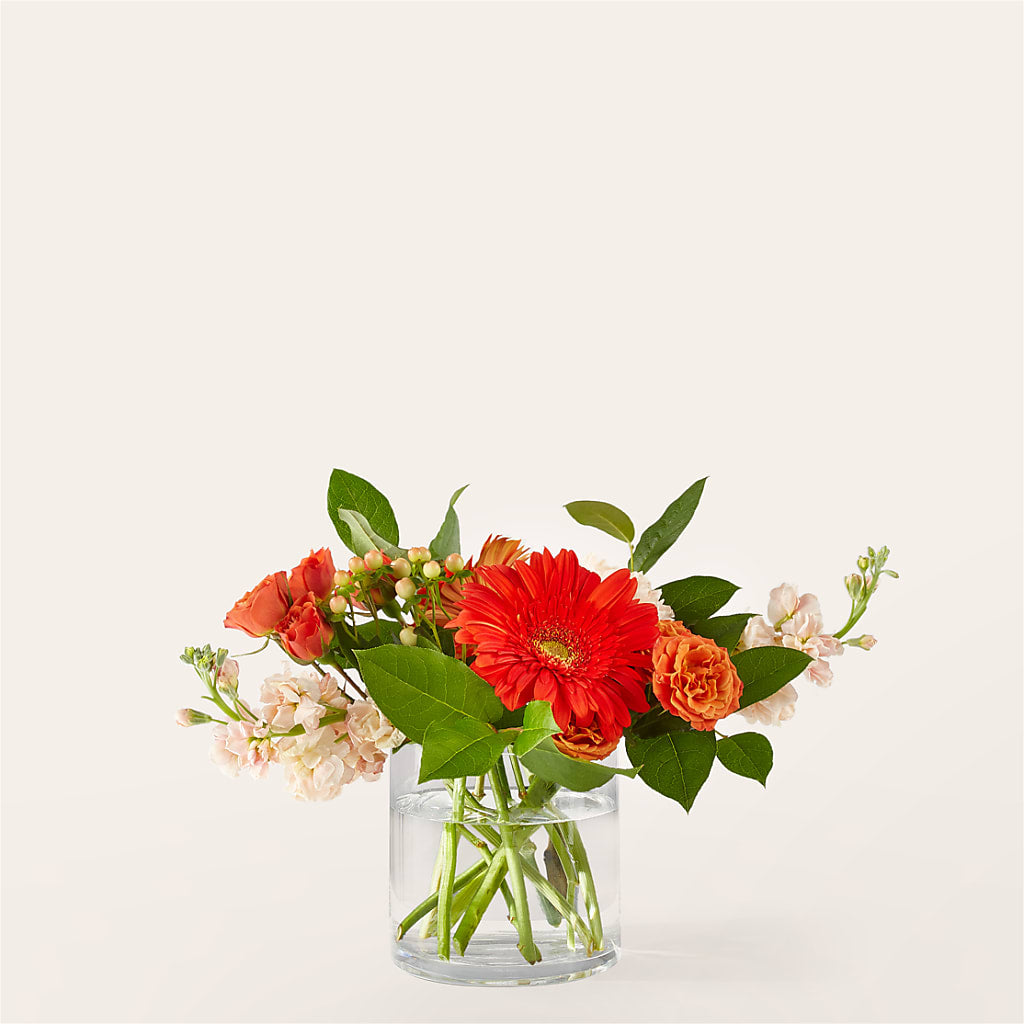 Paloma Please Bouquet – Petals And Blooms Flowers, Fort Leonard Wood MO