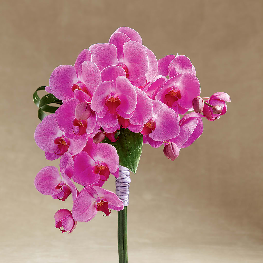 Glorious Bouquet – Petals And Blooms Flowers, Fort Leonard Wood MO