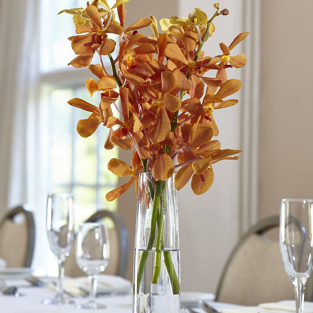 Orange Mokara Bud Vase – Petals And Blooms Flowers, Fort Leonard Wood MO