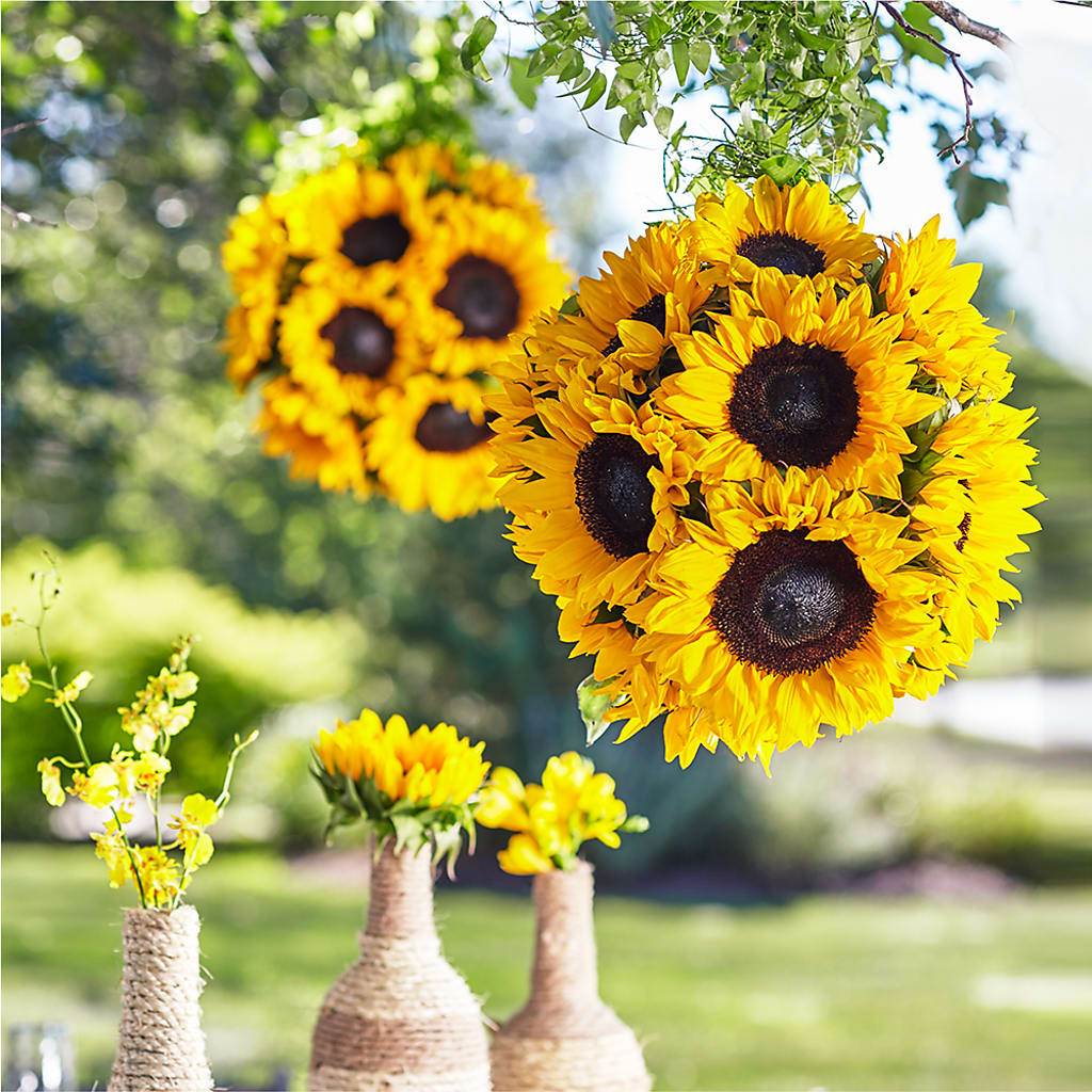 Sublime Garden Hanging Arrangement – Petals And Blooms Flowers, Fort Leonard Wood MO