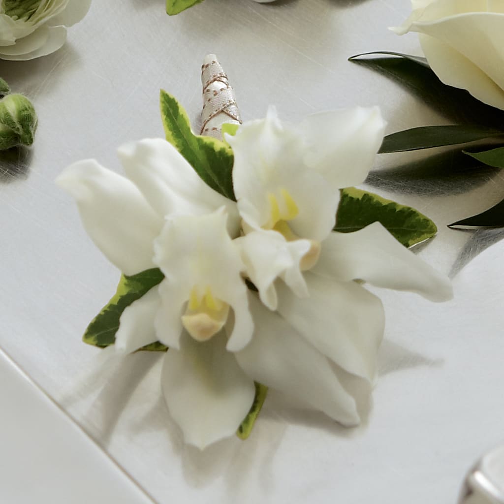 White Mini Cymbidium Boutonniere – Petals And Blooms Flowers, Fort Leonard Wood MO