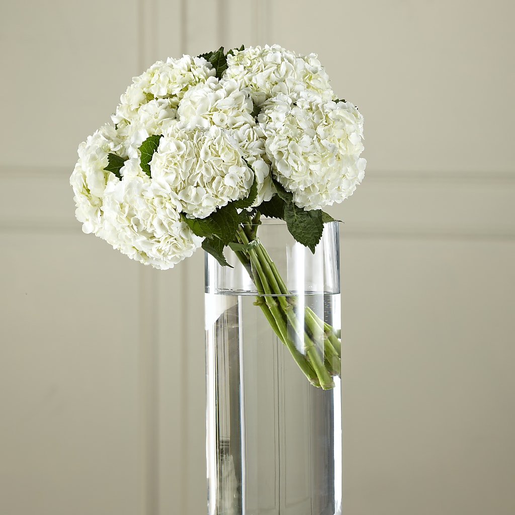 White Hydrangea Hand-Tied Bouquet – Petals And Blooms Flowers, Fort Leonard Wood MO