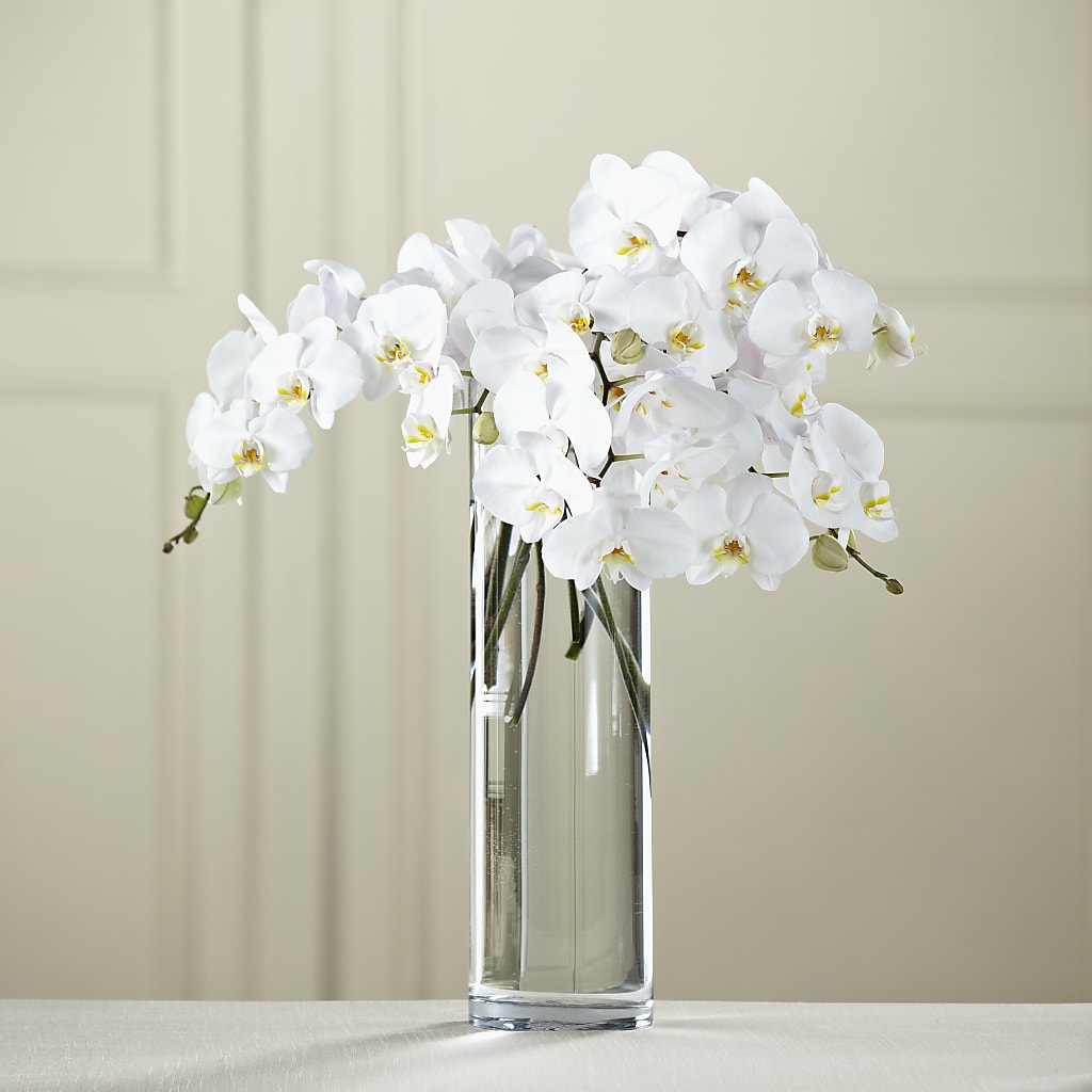 White Phalaenopsis Bouquet – Petals And Blooms Flowers, Fort Leonard Wood MO