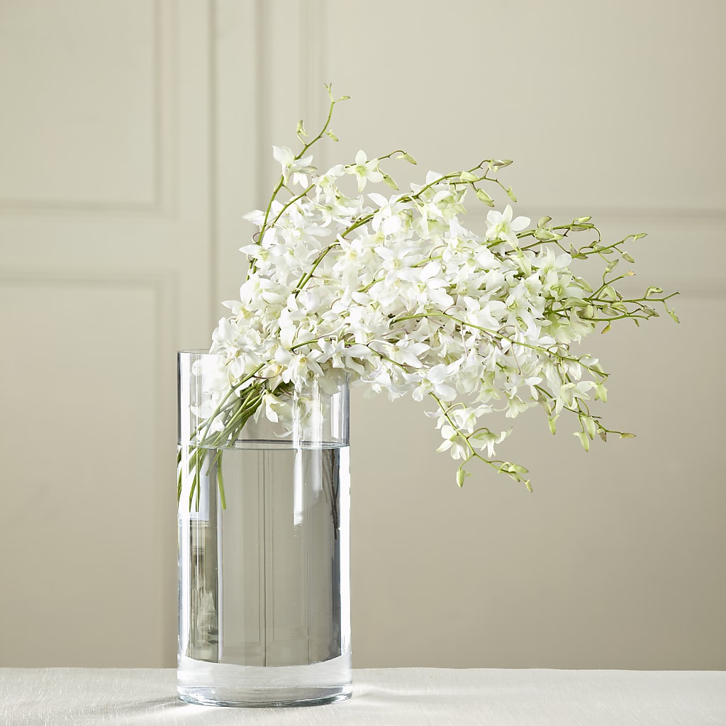White Dendrobium Bouquet – Petals And Blooms Flowers, Fort Leonard Wood MO