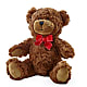 Adorable Plush Bear –  Petals And Blooms Flowers, Fort Leonard Wood MO