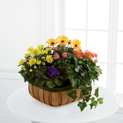 Gentle Blossoms Basket –  Petals And Blooms Flowers, Fort Leonard Wood MO