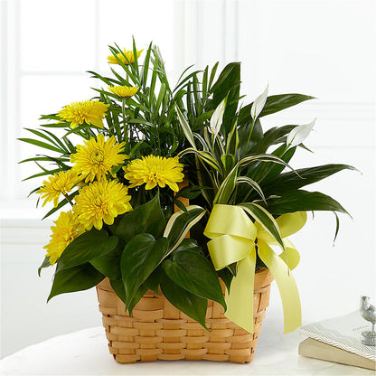 Loving Light Dishgarden –  Petals And Blooms Flowers, Fort Leonard Wood MO