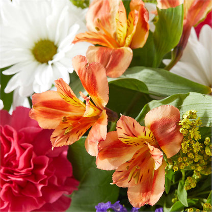 Oopsie Daisy Box Bouquet –  Petals And Blooms Flowers, Fort Leonard Wood MO