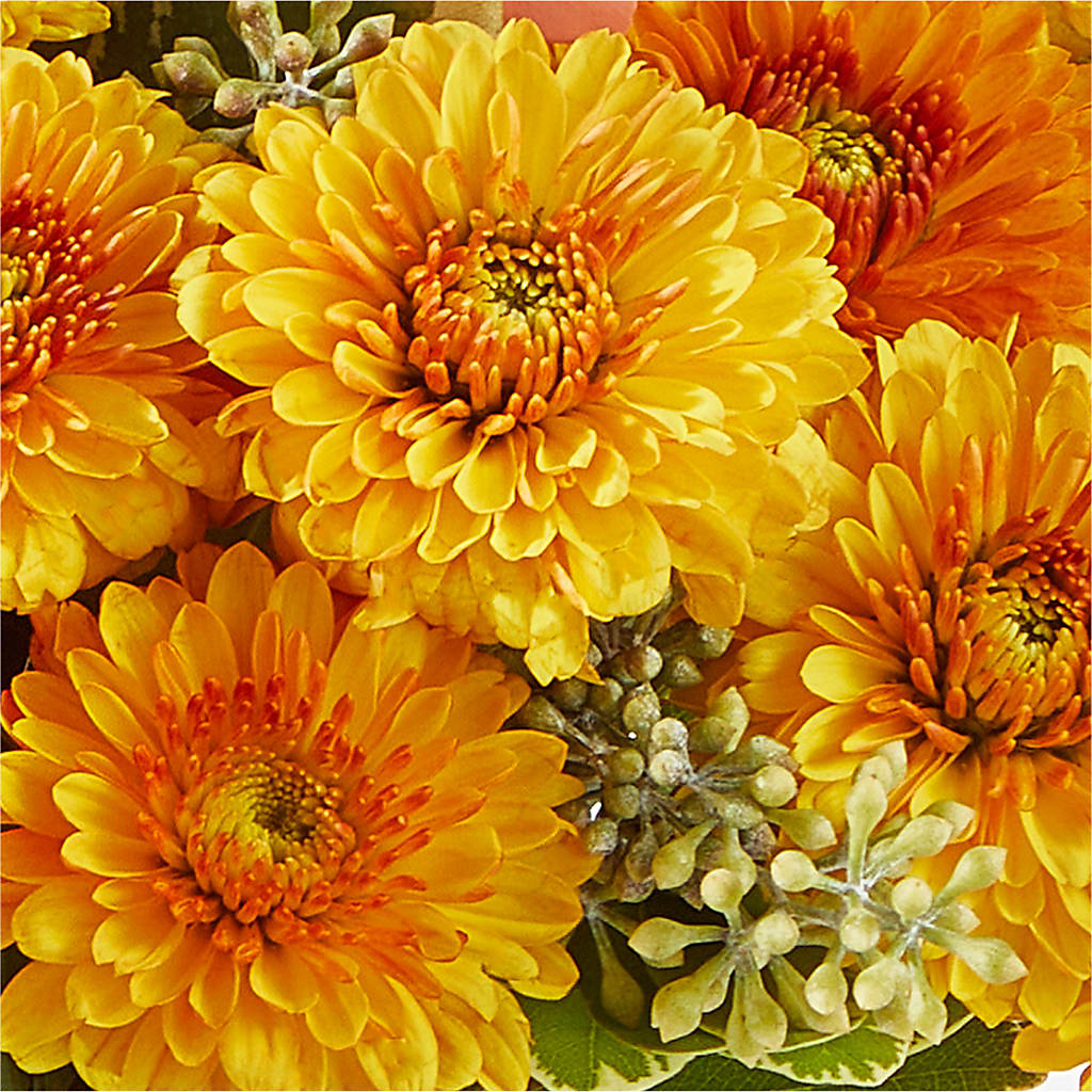 Peachy Pumpkin –  Petals And Blooms Flowers, Fort Leonard Wood MO