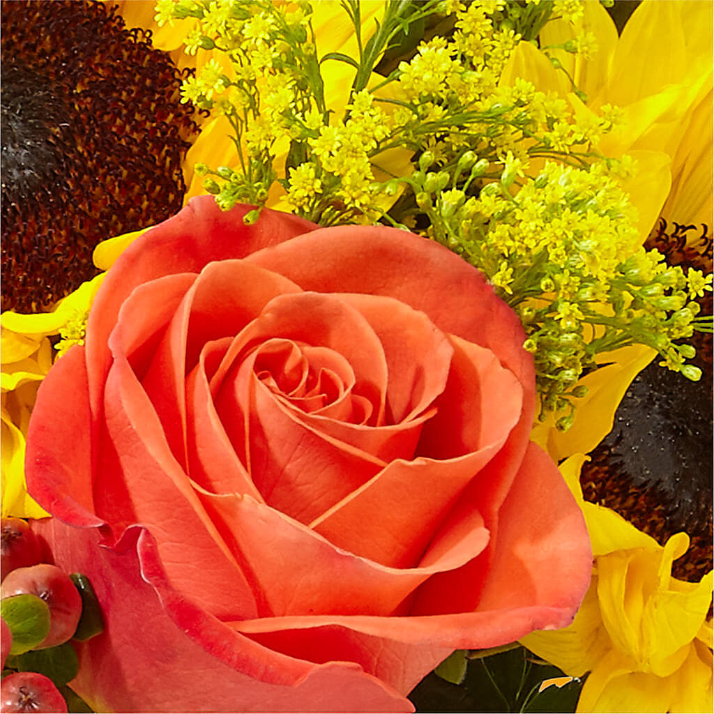 Pick of the Patch Pumpkin Bouquet –  Petals And Blooms Flowers, Fort Leonard Wood MO
