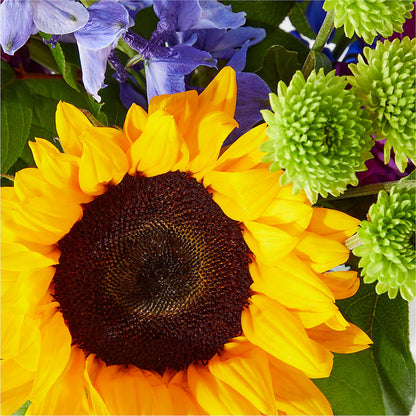 Catching Rays Bouquet –  Petals And Blooms Flowers, Fort Leonard Wood MO