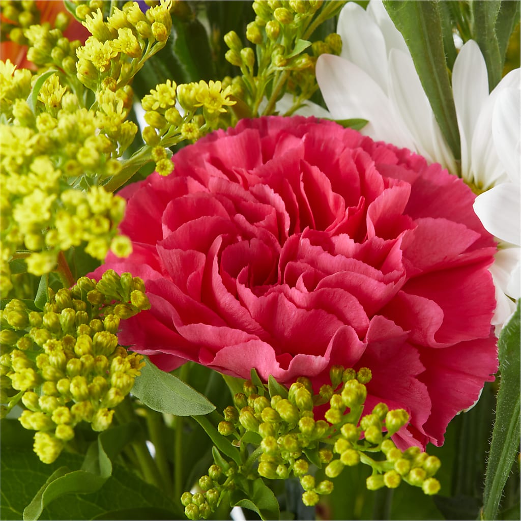 Oopsie Daisy Bouquet –  Petals And Blooms Flowers, Fort Leonard Wood MO