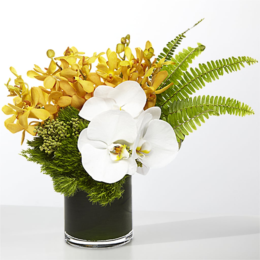 The Tropics –  Petals And Blooms Flowers, Fort Leonard Wood MO