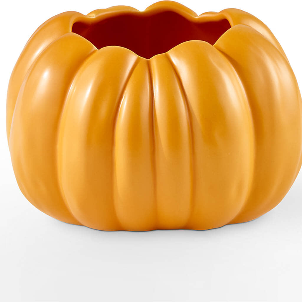 Golden Gourd Pumpkin Bouquet –  Petals And Blooms Flowers, Fort Leonard Wood MO