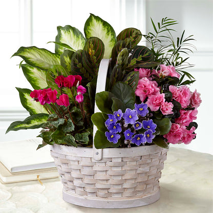 Peaceful Garden Planter –  Petals And Blooms Flowers, Fort Leonard Wood MO