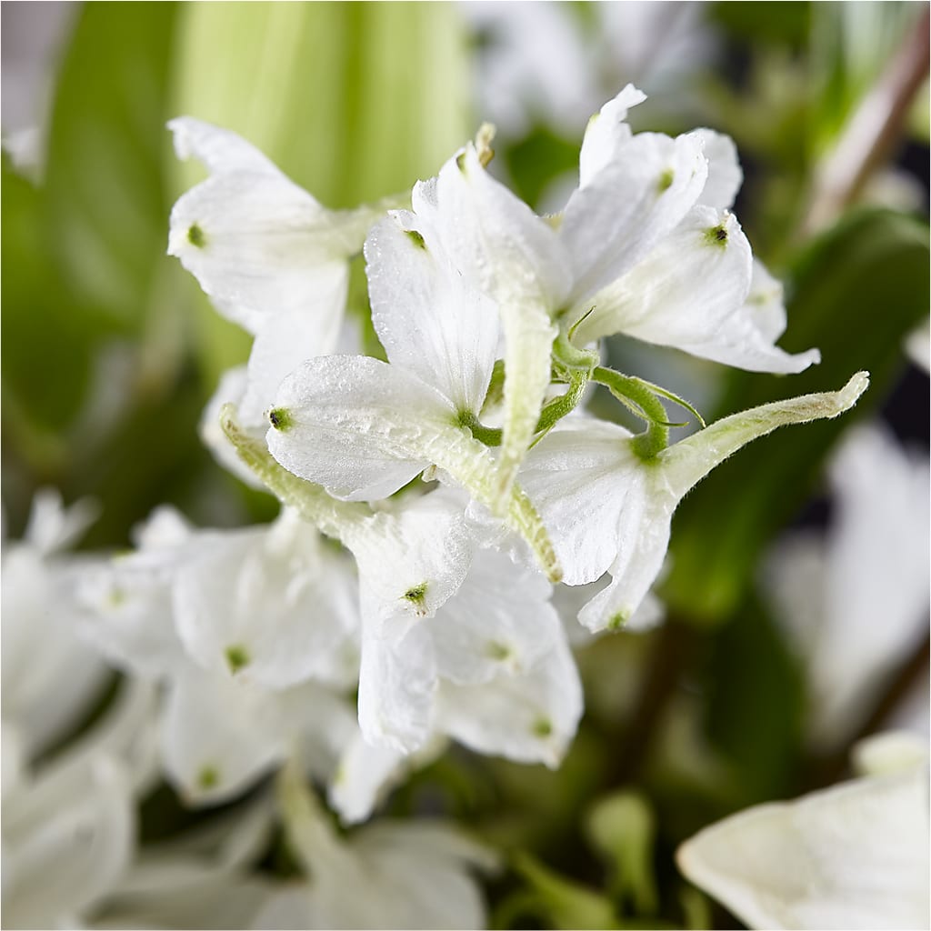 Classic Ivory – A Florist Original –  Petals And Blooms Flowers, Fort Leonard Wood MO