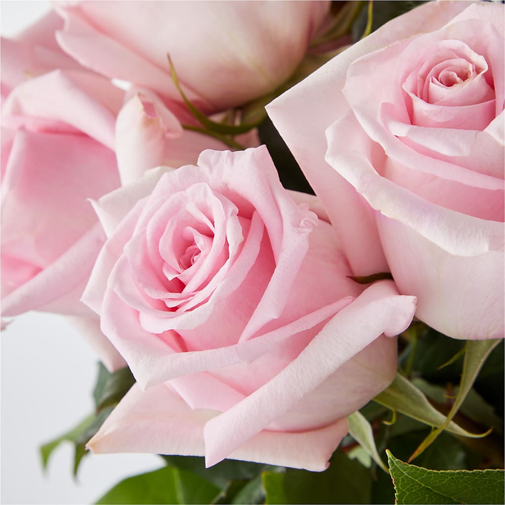 Picture Perfect Pink Rose Bouquet –  Petals And Blooms Flowers, Fort Leonard Wood MO