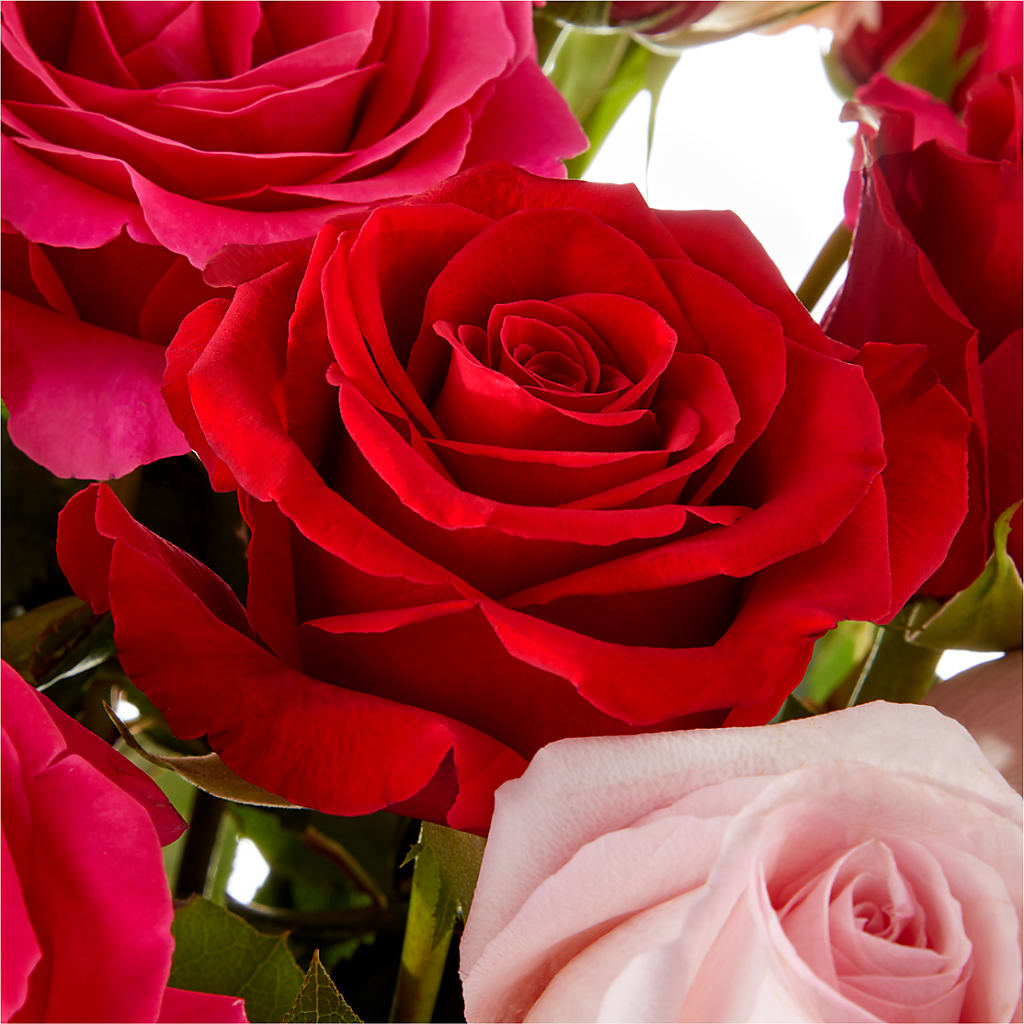 Love Notes Rose Bouquet –  Petals And Blooms Flowers, Fort Leonard Wood MO