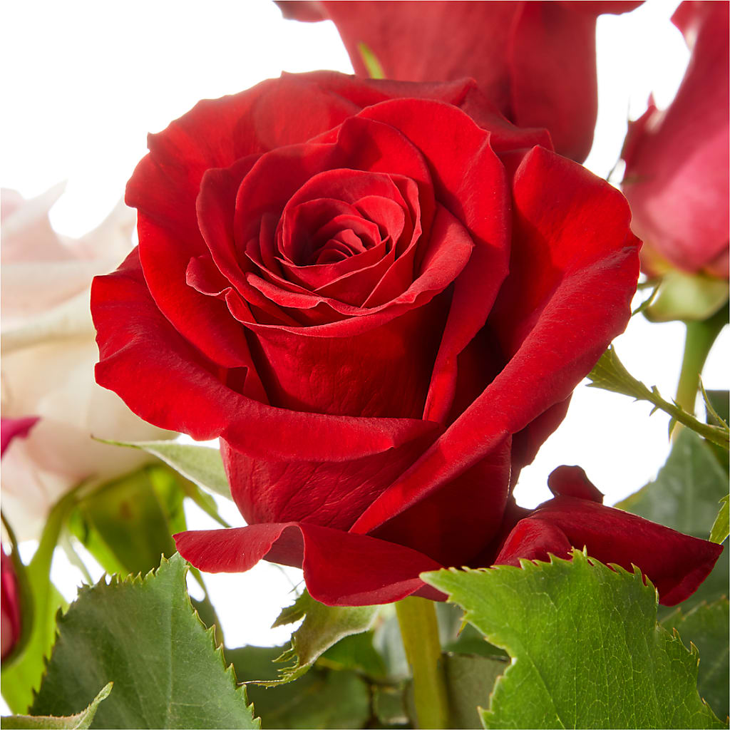 Love Notes Rose Bouquet –  Petals And Blooms Flowers, Fort Leonard Wood MO