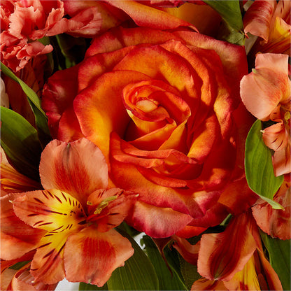 Apricot Glow Bouquet –  Petals And Blooms Flowers, Fort Leonard Wood MO