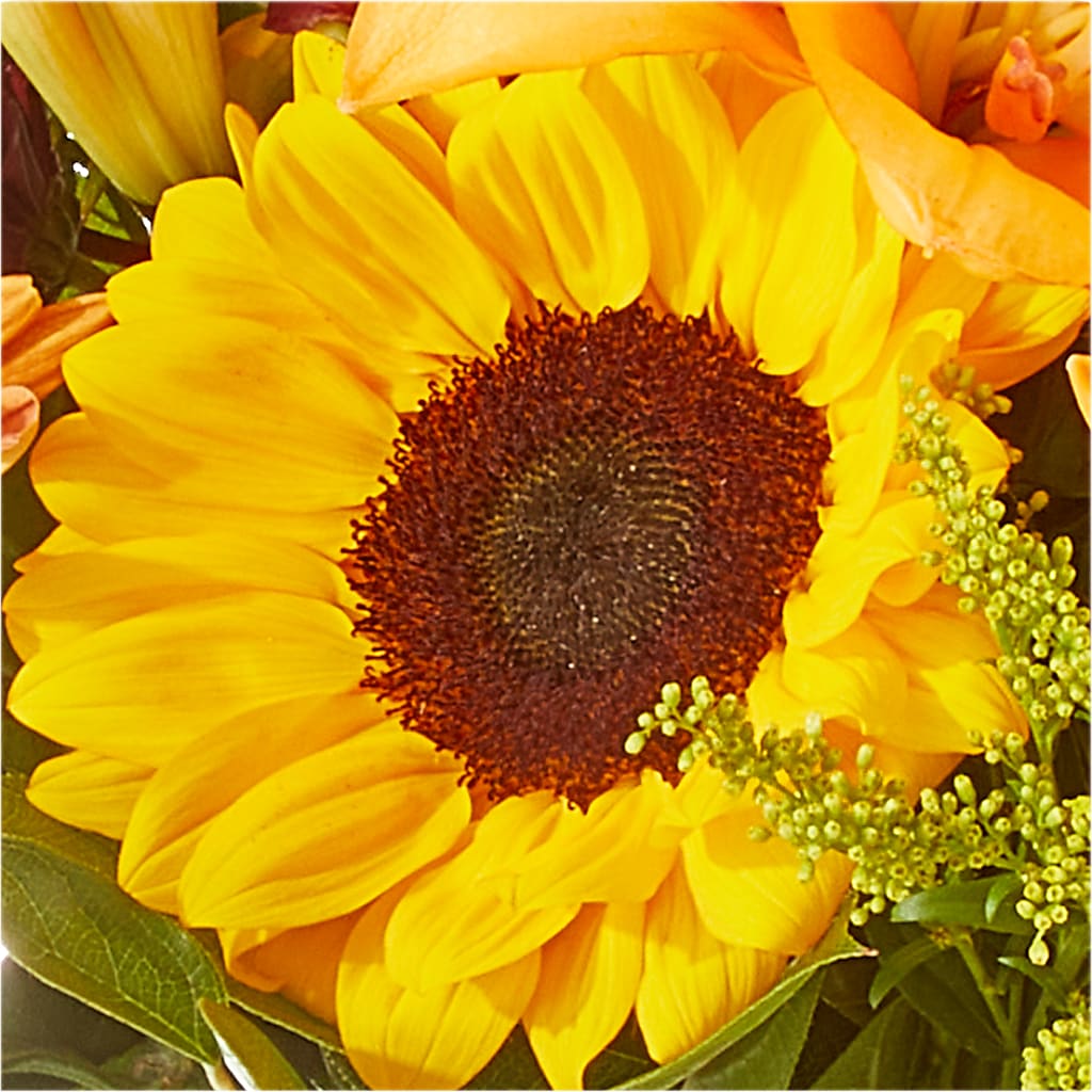 Seasons Change Bouquet –  Petals And Blooms Flowers, Fort Leonard Wood MO