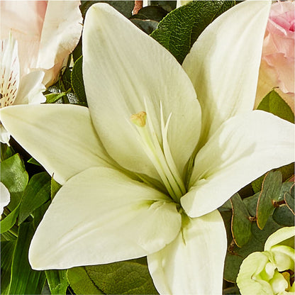 Ballet Slippers Bouquet –  Petals And Blooms Flowers, Fort Leonard Wood MO