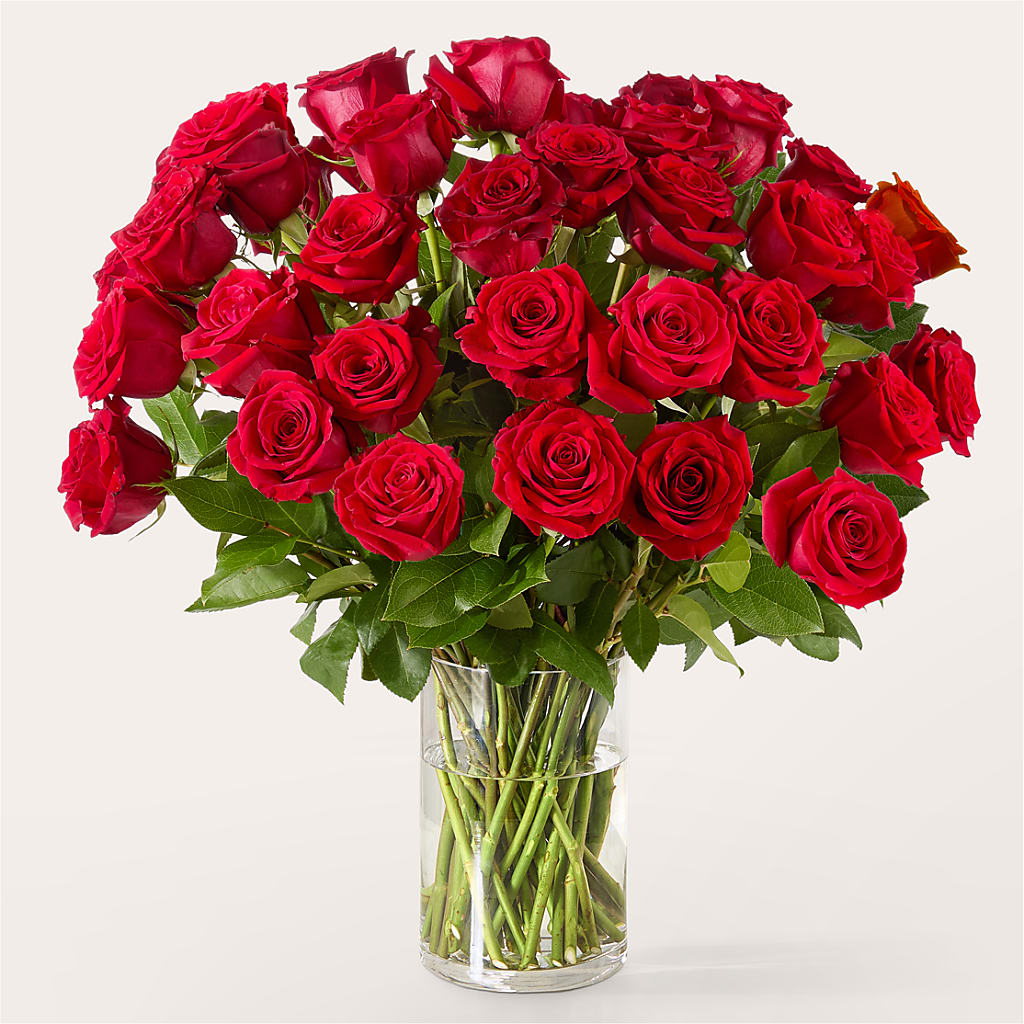 The One Red Rose Bouquet –  Petals And Blooms Flowers, Fort Leonard Wood MO