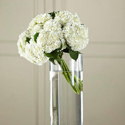 White Hydrangea Hand-Tied Bouquet –  Petals And Blooms Flowers, Fort Leonard Wood MO