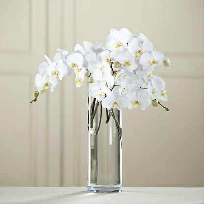 White Phalaenopsis Bouquet –  Petals And Blooms Flowers, Fort Leonard Wood MO